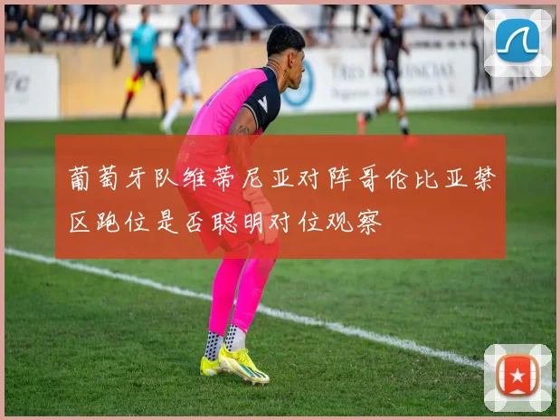 葡萄牙队维蒂尼亚对阵哥伦比亚禁区跑位是否聪明对位观察