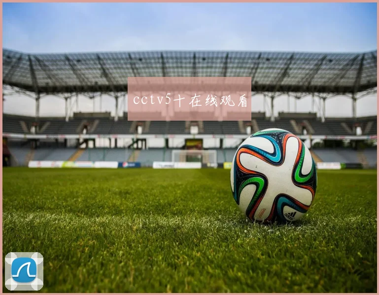 cctv5十在线观看