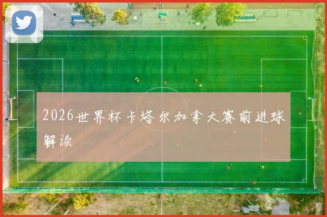 2026世界杯卡塔尔加拿大赛前进球解读