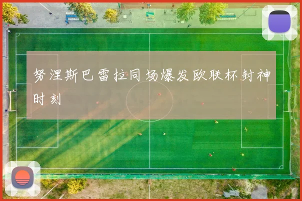 努涅斯巴雷拉同场爆发欧联杯封神时刻