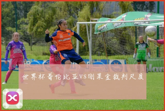 世界杯哥伦比亚vs刚果金裁判尺度