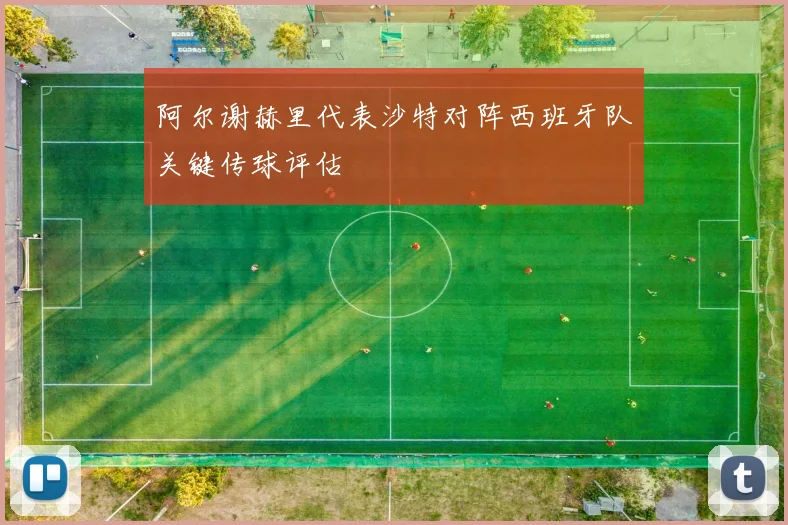 阿尔谢赫里代表沙特对阵西班牙队关键传球评估