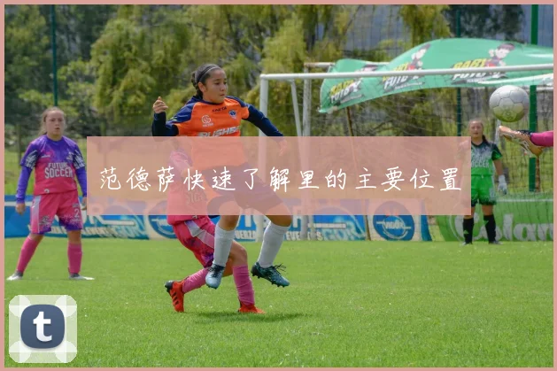 范德萨快速了解里的主要位置