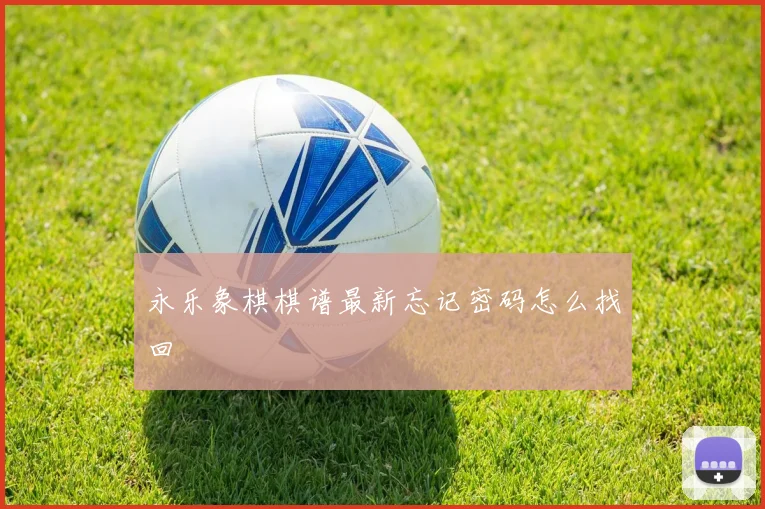 永乐象棋棋谱最新忘记密码怎么找回