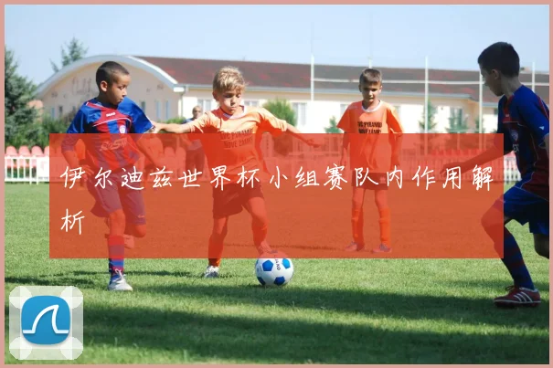 伊尔迪兹世界杯小组赛队内作用解析