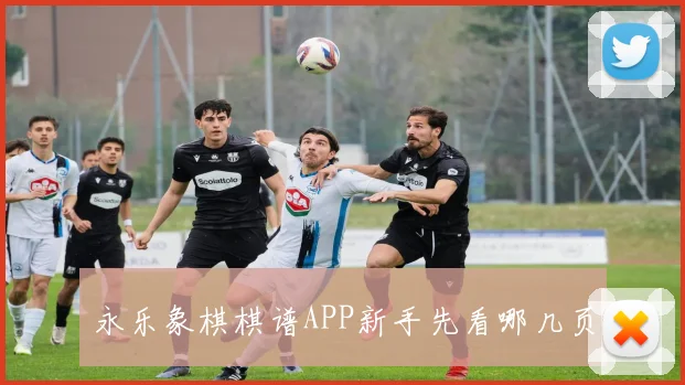 永乐象棋棋谱APP新手先看哪几页