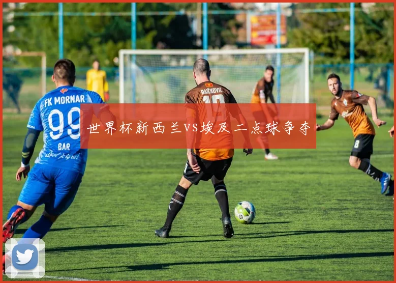 世界杯新西兰vs埃及二点球争夺